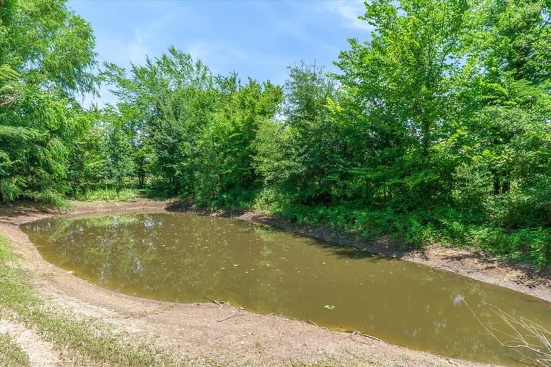 1100 Vz County Road 3414, Wills Point TX 75169 - Photo 19
