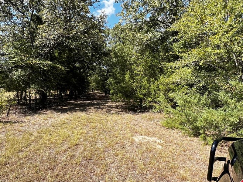 6070 County Road 4068, Kemp TX 75143 - Photo 32
