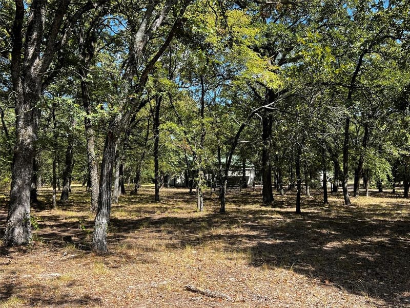 6070 County Road 4068, Kemp TX 75143 - Photo 30