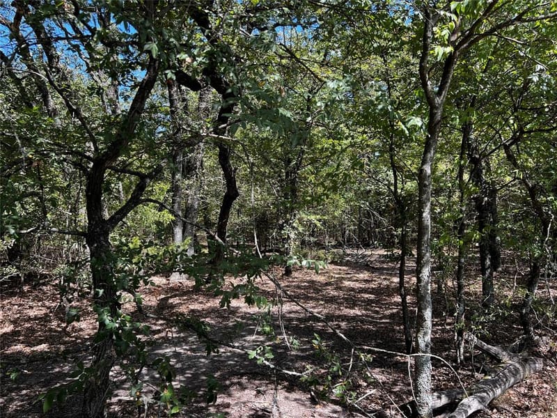 6070 County Road 4068, Kemp TX 75143 - Photo 34