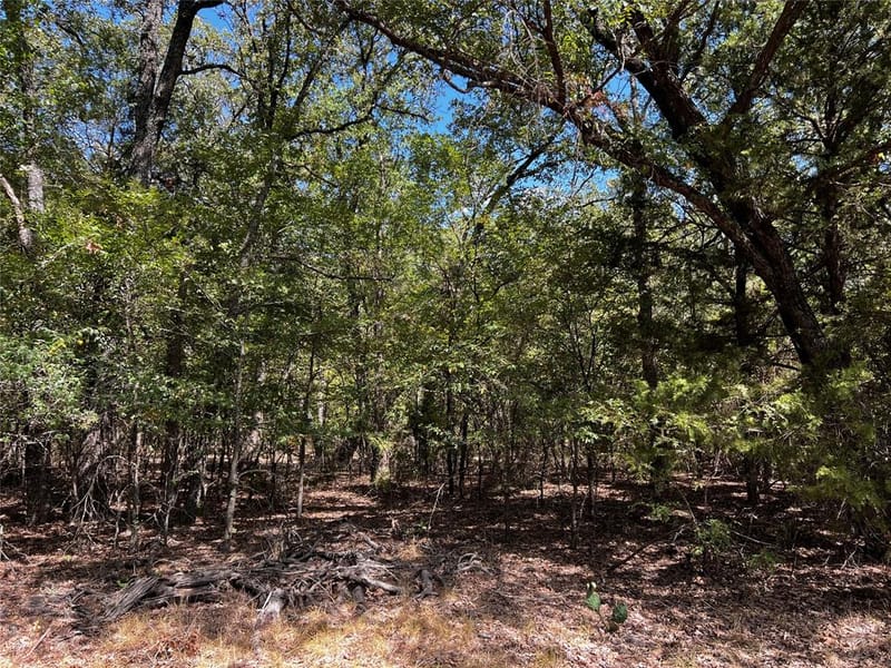6070 County Road 4068, Kemp TX 75143 - Photo 33