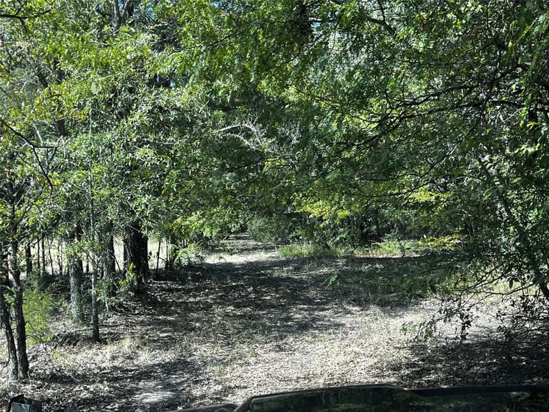 6070 County Road 4068, Kemp TX 75143 - Photo 35