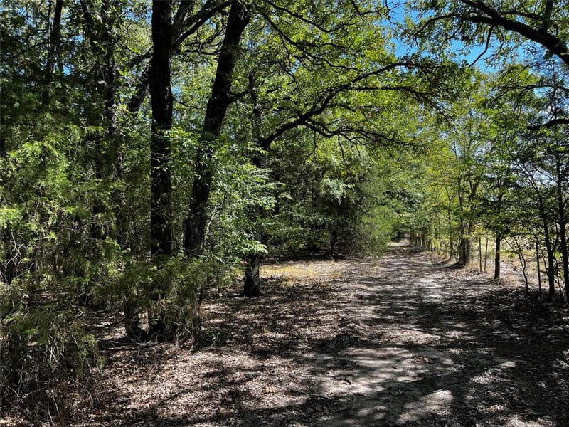 6070 County Road 4068, Kemp TX 75143 - Photo 39