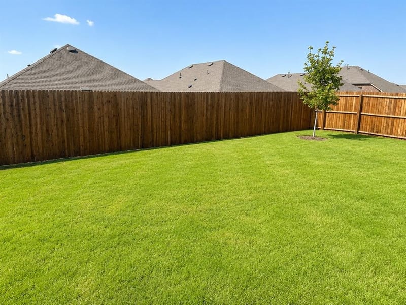 10101 Rambling Brooks Lane, Aubrey TX 76227 - Photo 16