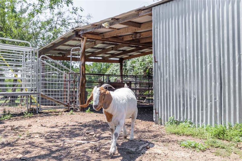 122 Homestead Drive, Gatesville TX 76528 - Photo 20