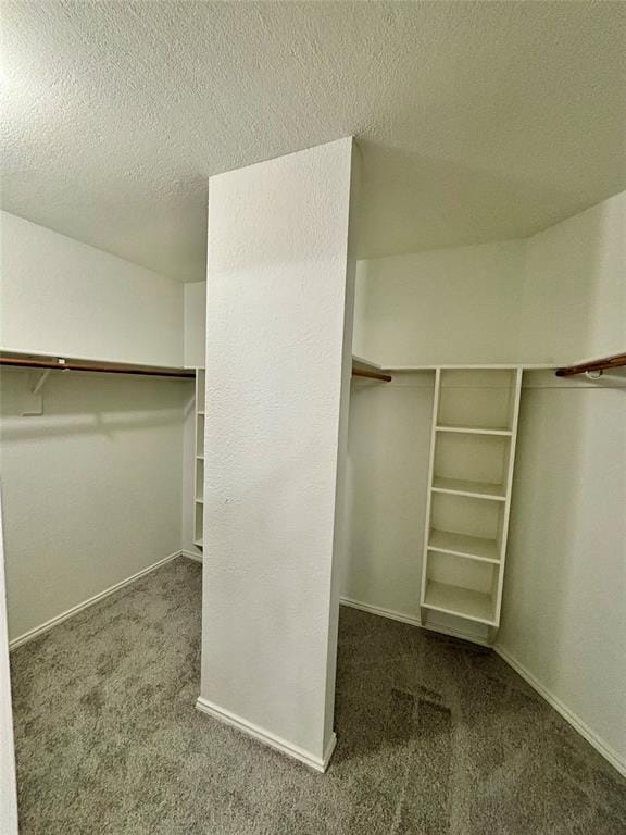 2516 Creek Crossing Road, Mesquite TX 75181 - Photo 16