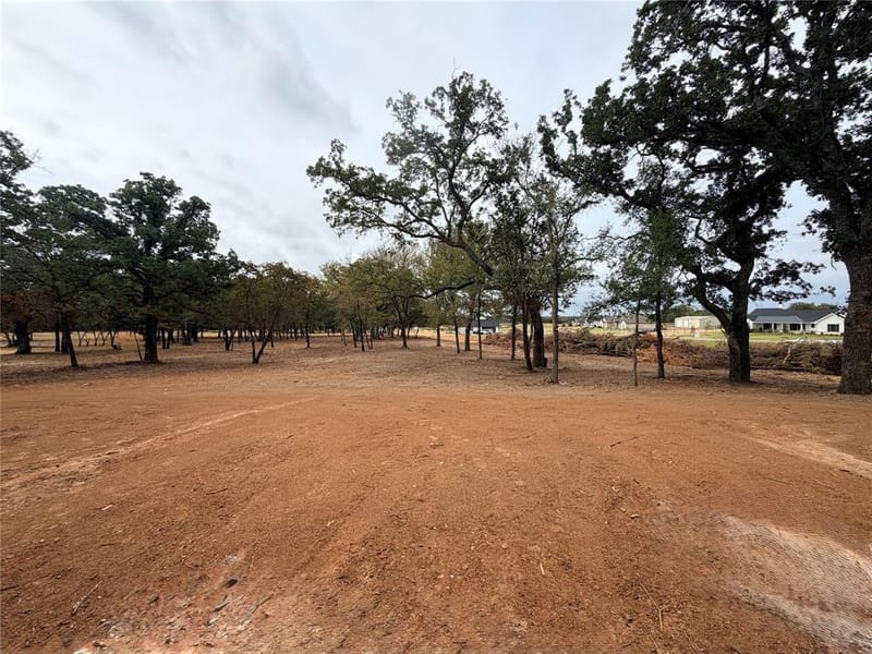 TBD Sundance Cecil Court, Poolville TX 76487 - Photo 29