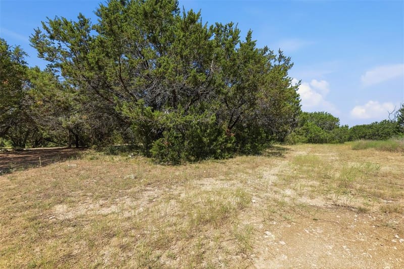 9132 Windmill Court W, Cleburne TX 76033 - Photo 32