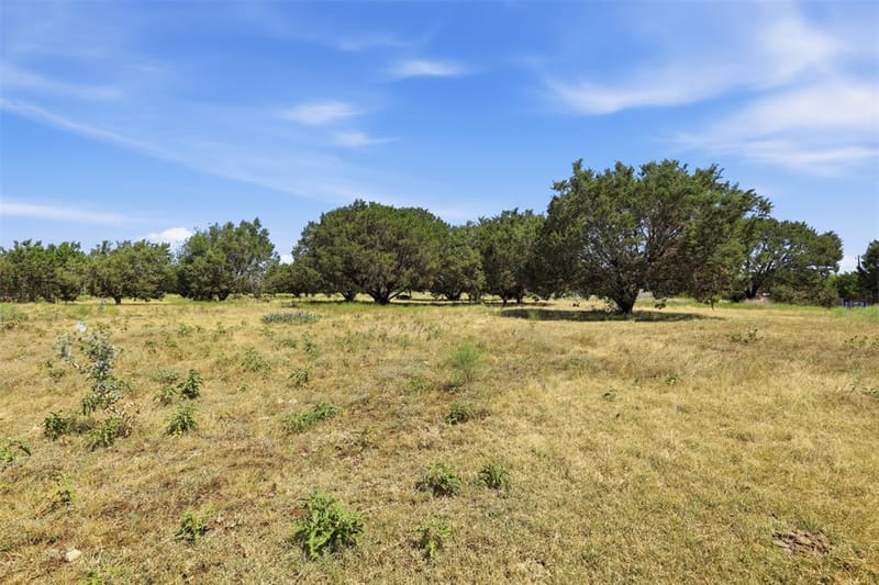 9132 Windmill Court W, Cleburne TX 76033 - Photo 35