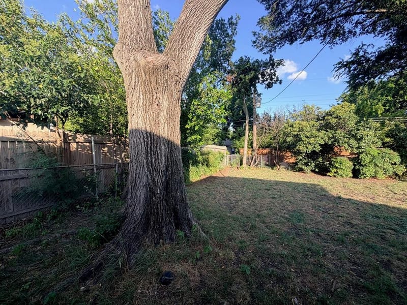 10208 San Lorenzo Drive, Dallas TX 75228 - Photo 20