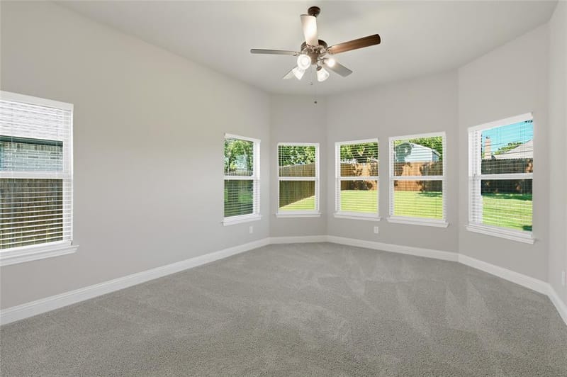 316 Mercer Drive, Josephine TX 75173 - Photo 19