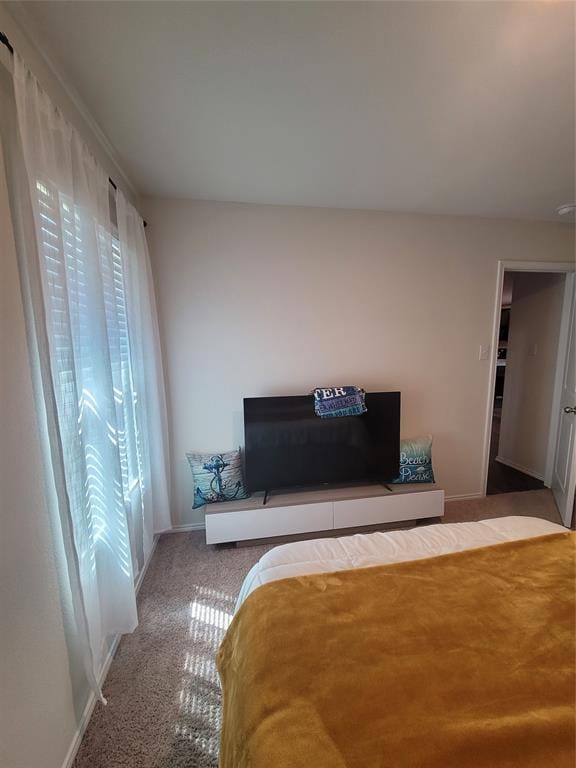 2430 Russell Street, Crandall TX 75114 - Photo 10