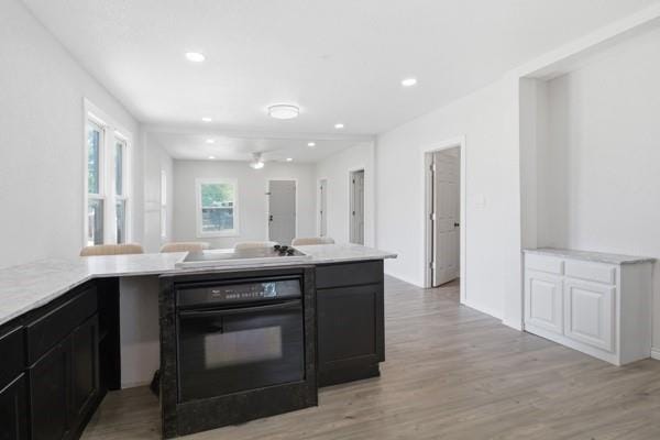 910 Loney Street, Fort Worth TX 76104 - Photo 20