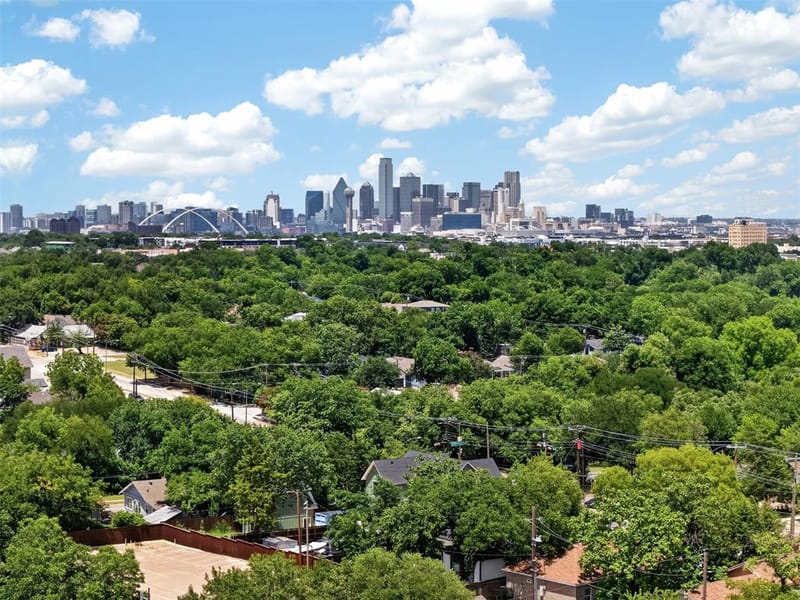 924 Nolte Drive, Dallas TX 75208 - Photo 32