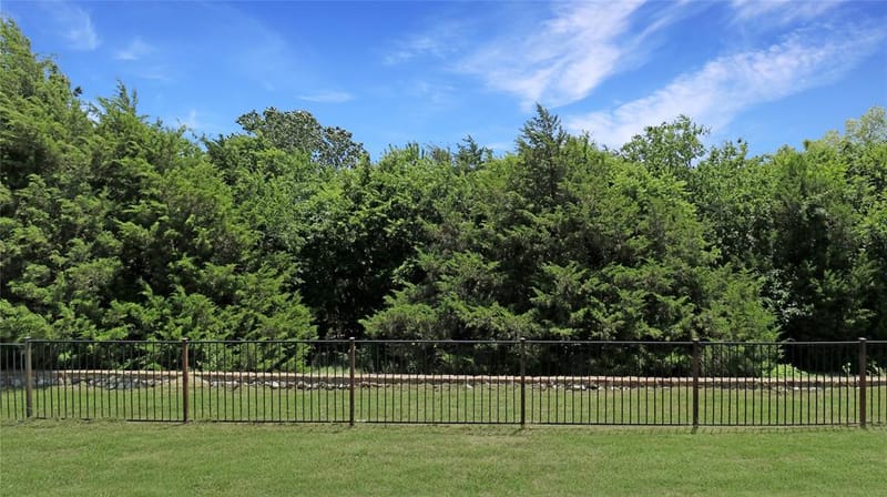 2981 Cattle Baron Drive, Little Elm TX 75068 - Photo 39