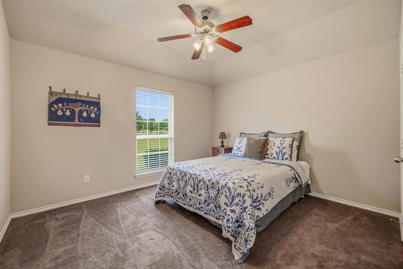 172 County Road 449, De Leon TX 76444 - Photo 19