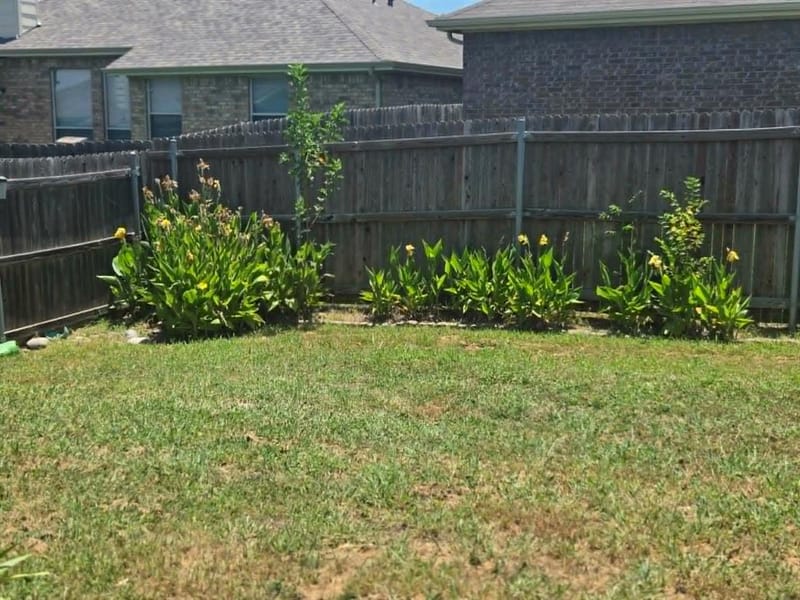 2009 Wahoo Drive, Mansfield TX 76063 - Photo 29