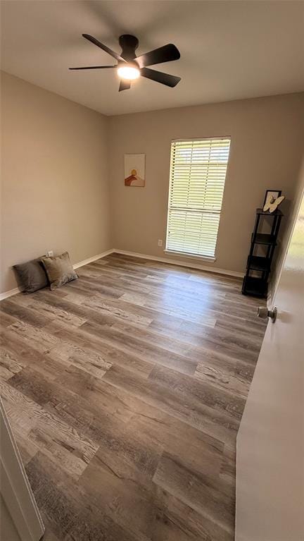 8510 Kensington Drive, Rowlett TX 75088 - Photo 21