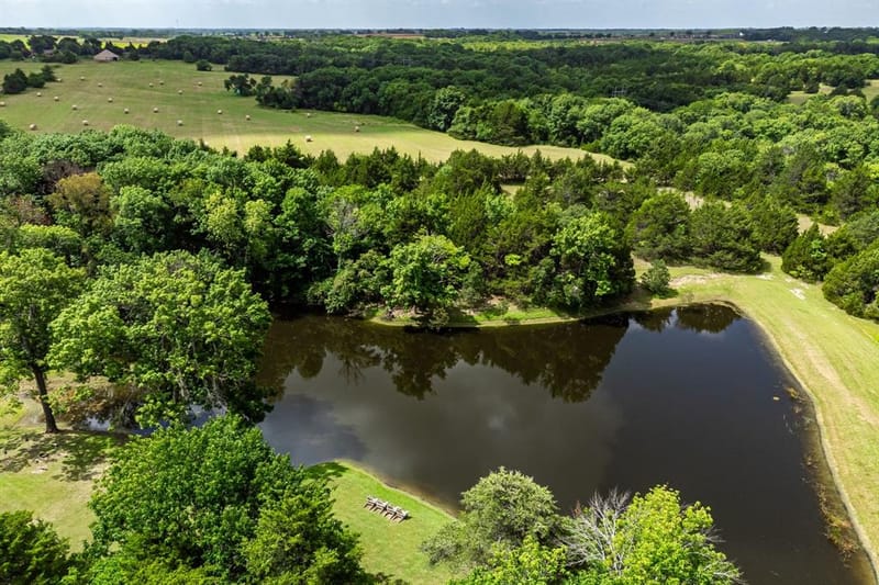 919 Harrell Road, Howe TX 75459 - Photo 10