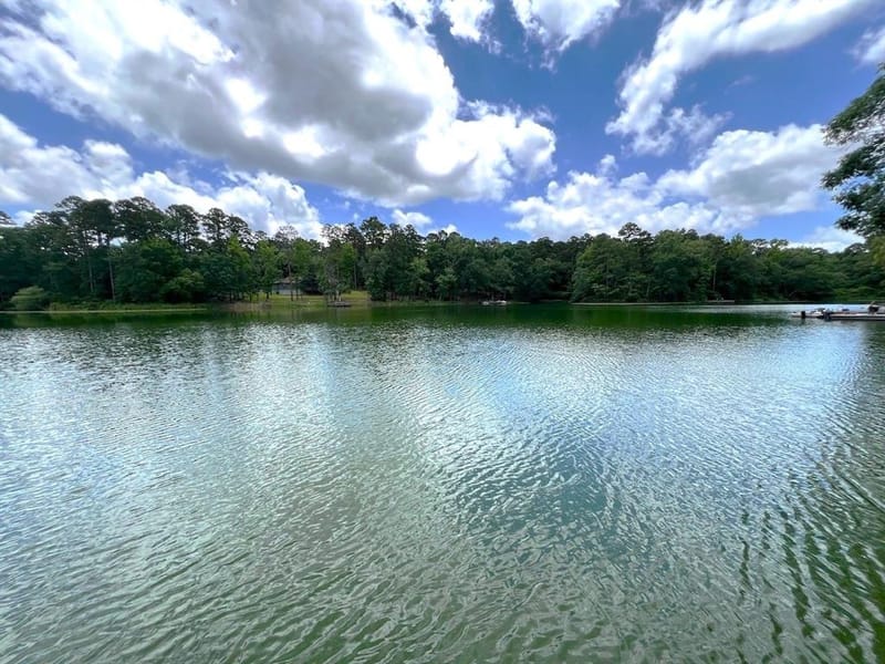 254 CR 4595, Winnsboro TX 75494 - Photo 6
