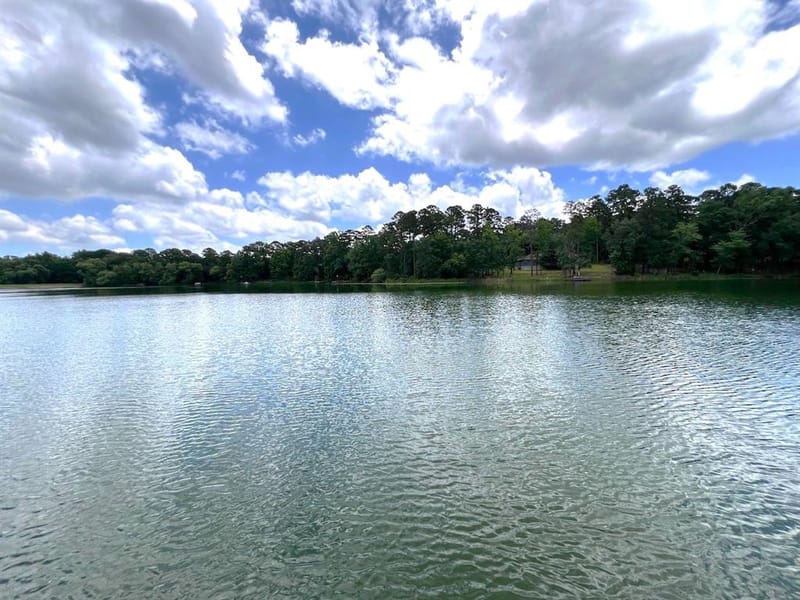 254 CR 4595, Winnsboro TX 75494 - Photo 7