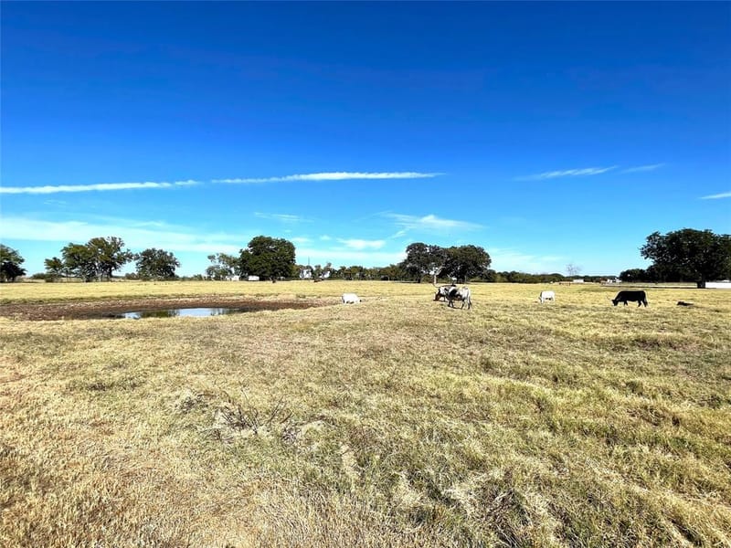 432 William Brewer Road, Collinsville TX 76721 - Photo 9