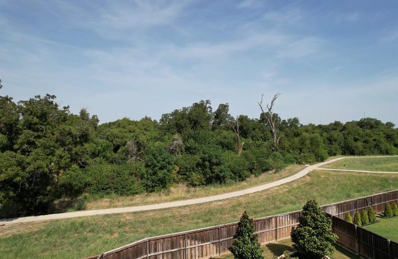 5249 Dolph Briscoe Drive, Forney TX 75126 - Photo 36