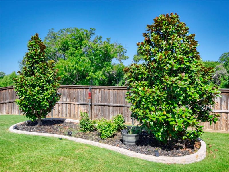 5249 Dolph Briscoe Drive, Forney TX 75126 - Photo 31