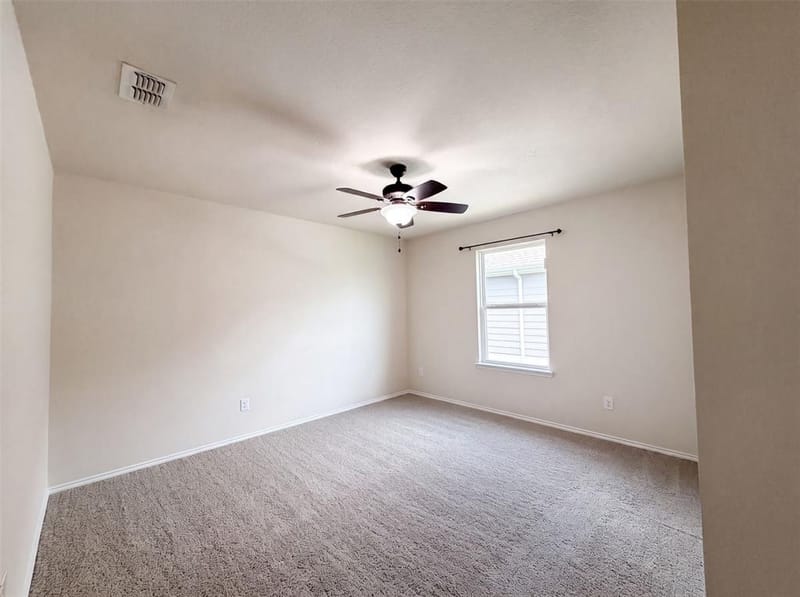 9165 Blackstone Drive, Providence Village TX 76227 - Photo 14