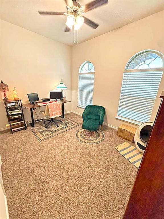 10407 Quail Pointe Road, Aubrey TX 76227 - Photo 14