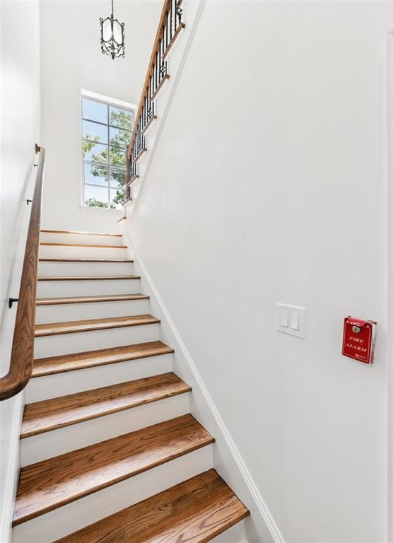 53 Piazza Lane # 110, Colleyville TX 76034 - Photo 22