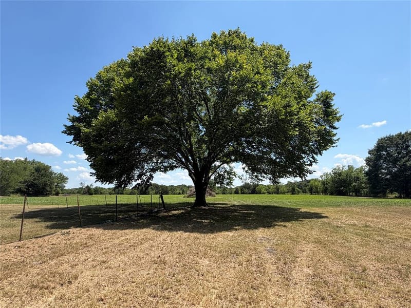 871 VZ County Road 2602, Wills Point TX 75169 - Photo 32