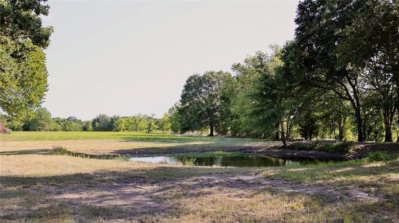 871 VZ County Road 2602, Wills Point TX 75169 - Photo 9