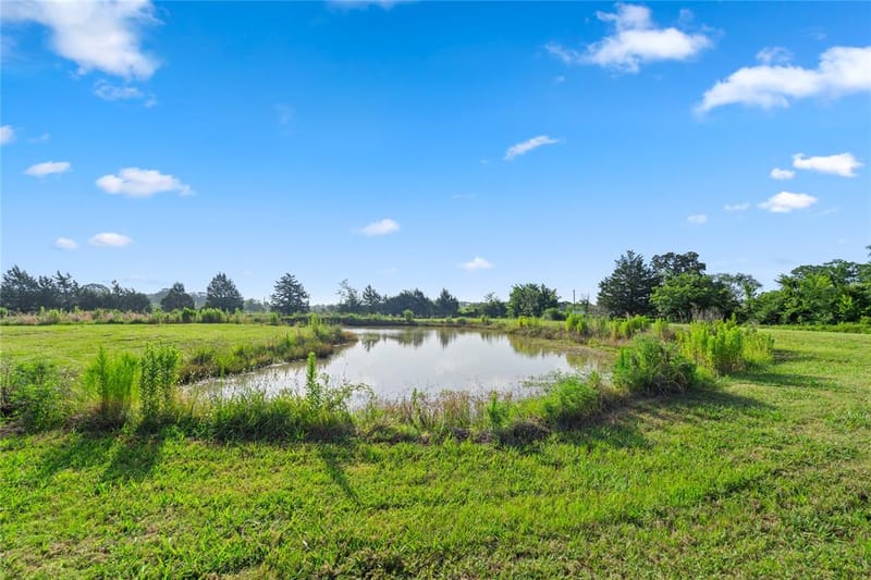1001 County Road 1350, Quitman TX 75783 - Photo 20