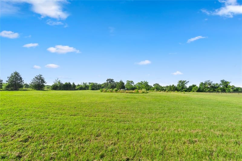 1001 County Road 1350, Quitman TX 75783 - Photo 19