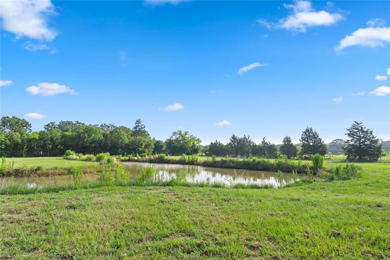 1001 County Road 1350, Quitman TX 75783 - Photo 21