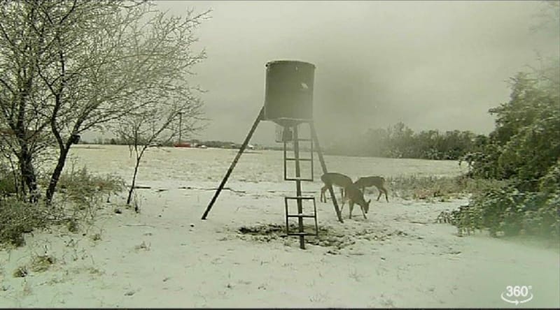 1510 FM 2649, Lone Oak TX 75453 - Photo 32