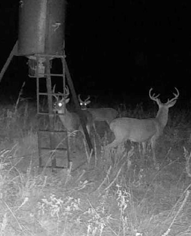 1510 FM 2649, Lone Oak TX 75453 - Photo 33