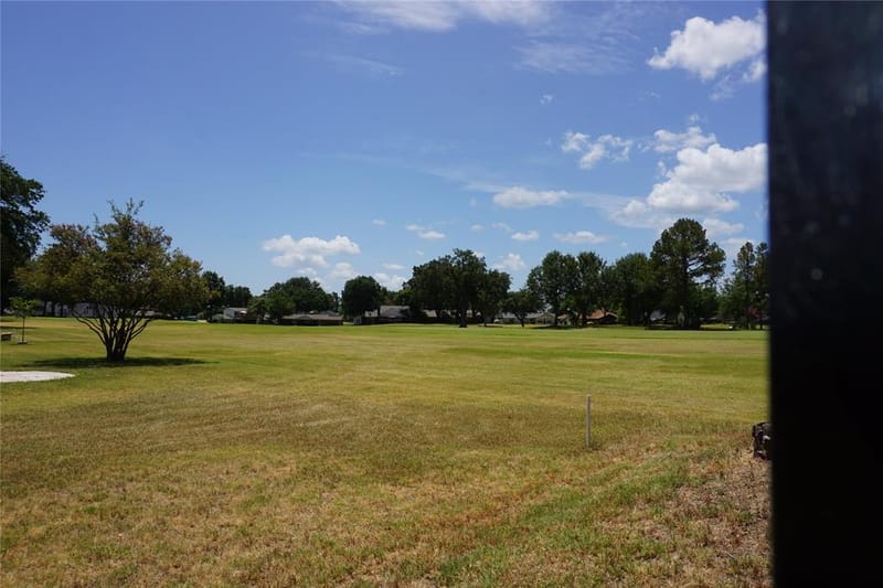 10808 Jeanell Drive, Kemp TX 75143 - Photo 17