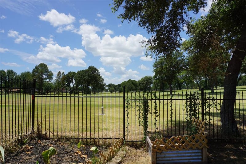 10808 Jeanell Drive, Kemp TX 75143 - Photo 20