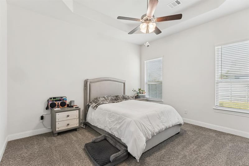 7413 Bird Cherry Lane, Little Elm TX 76227 - Photo 28