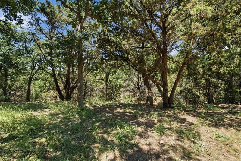 223 Cottongame Road, Weatherford TX 76088 - Photo 35