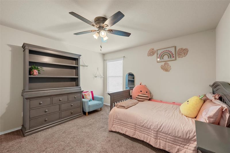11116 Whitlock Drive, Lorena TX 76655 - Photo 26