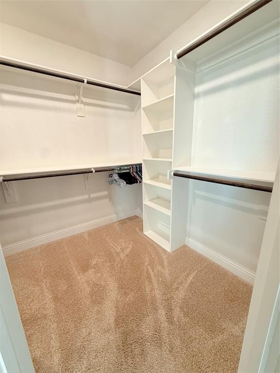 109 Cool Meadows Court, Millsap TX 76066 - Photo 24