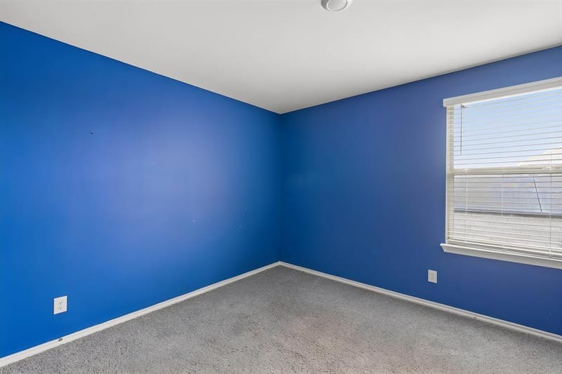 1294 Delmita Drive, Forney TX 75126 - Photo 13