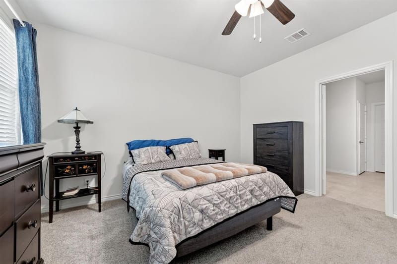 10105 Sunnyview Lane, Aubrey TX 76227 - Photo 22