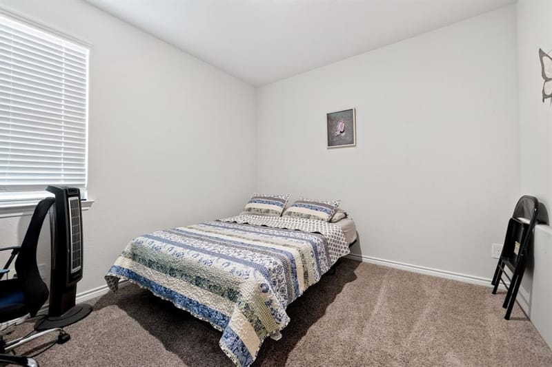 10105 Sunnyview Lane, Aubrey TX 76227 - Photo 19
