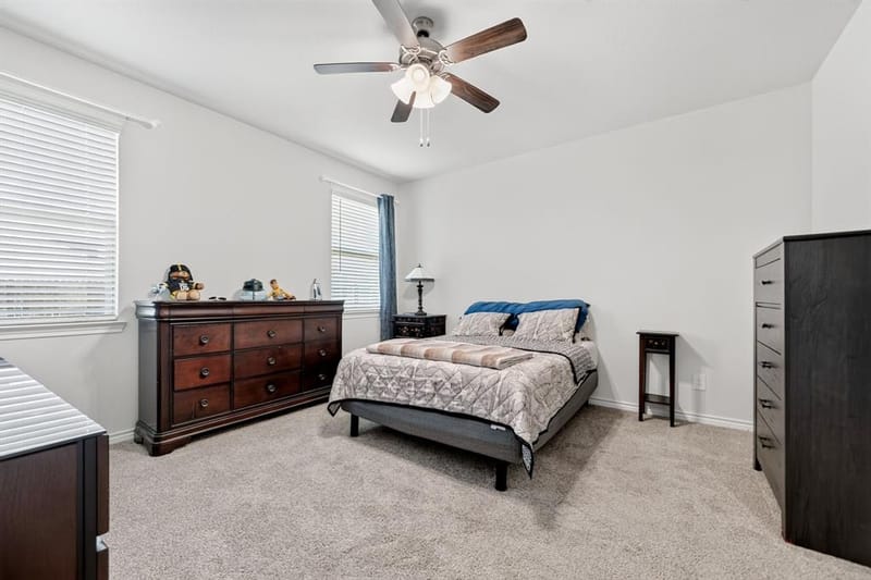 10105 Sunnyview Lane, Aubrey TX 76227 - Photo 21