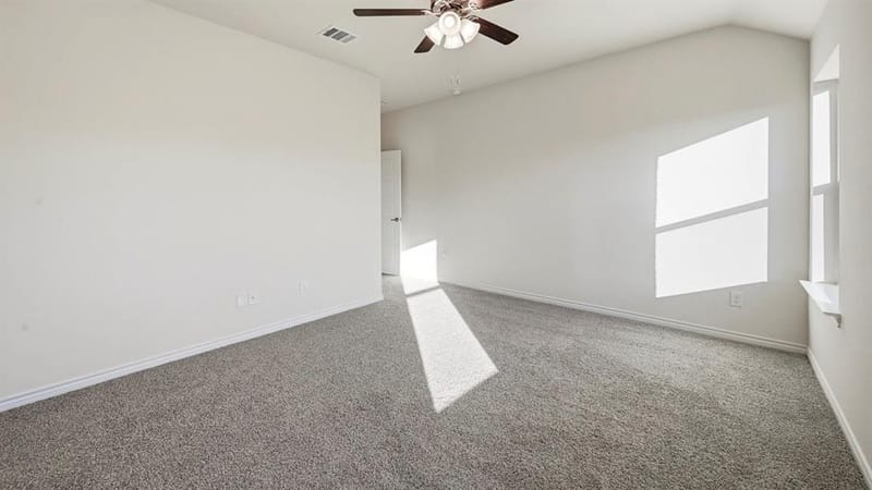 419 Epiphany Lane, Lavon TX 75166 - Photo 17