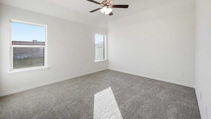 419 Epiphany Lane, Lavon TX 75166 - Photo 18